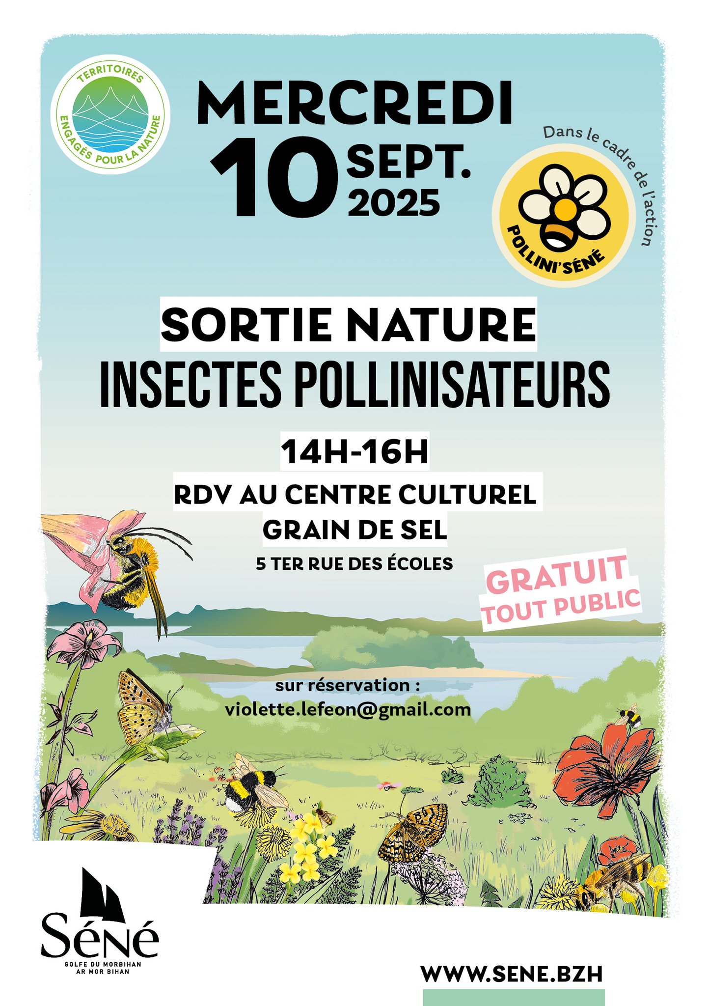 Clementoni – La Ville Des Fourmis – Fourmilière Modulaire – 3 Environnements – Dès 7 Ans – Espagnol – 55508