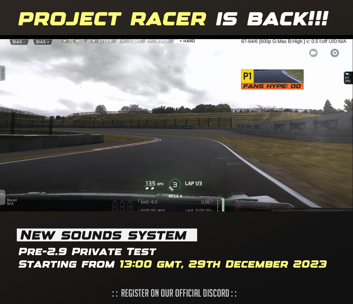 Project Racer - the game