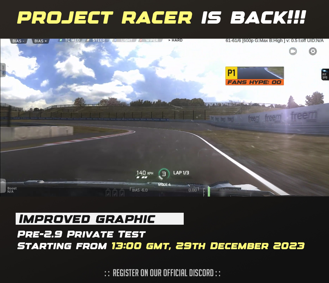 Project Racer - the game