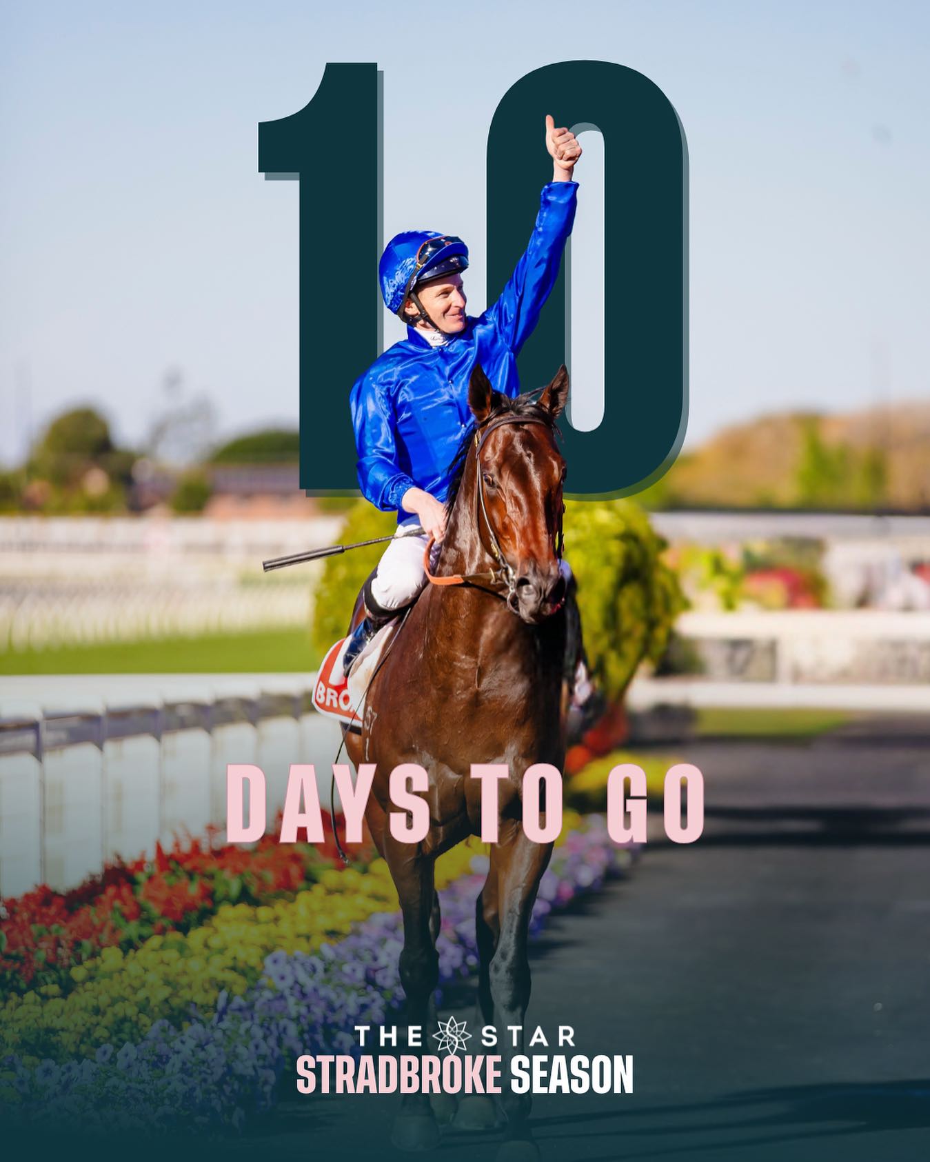 Brisbane - Happy retirement to 2024 JJ Atkins winner Broadsiding 👏 10 ...