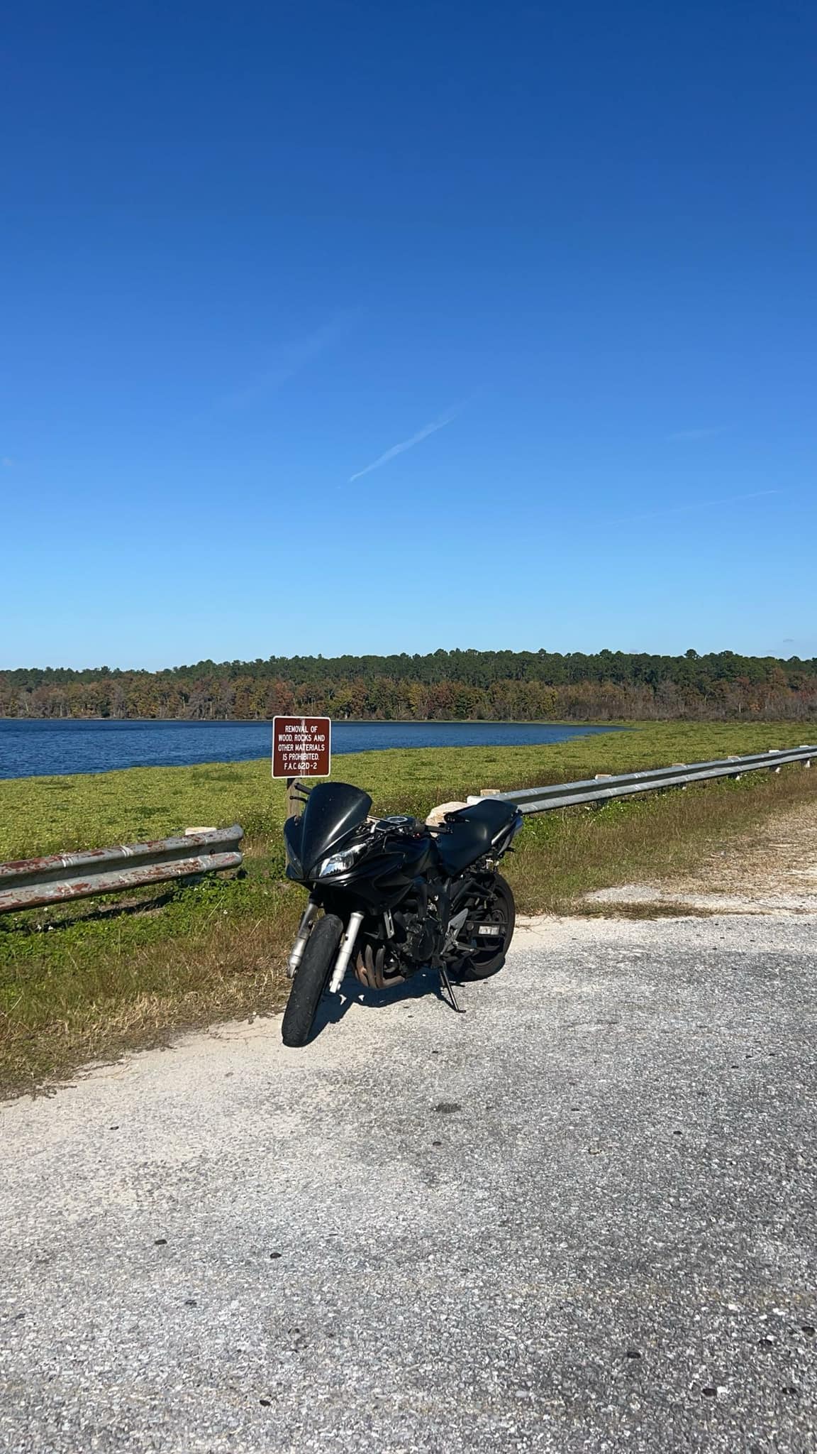 New rider shares experience with 2006 Yamaha FZ600