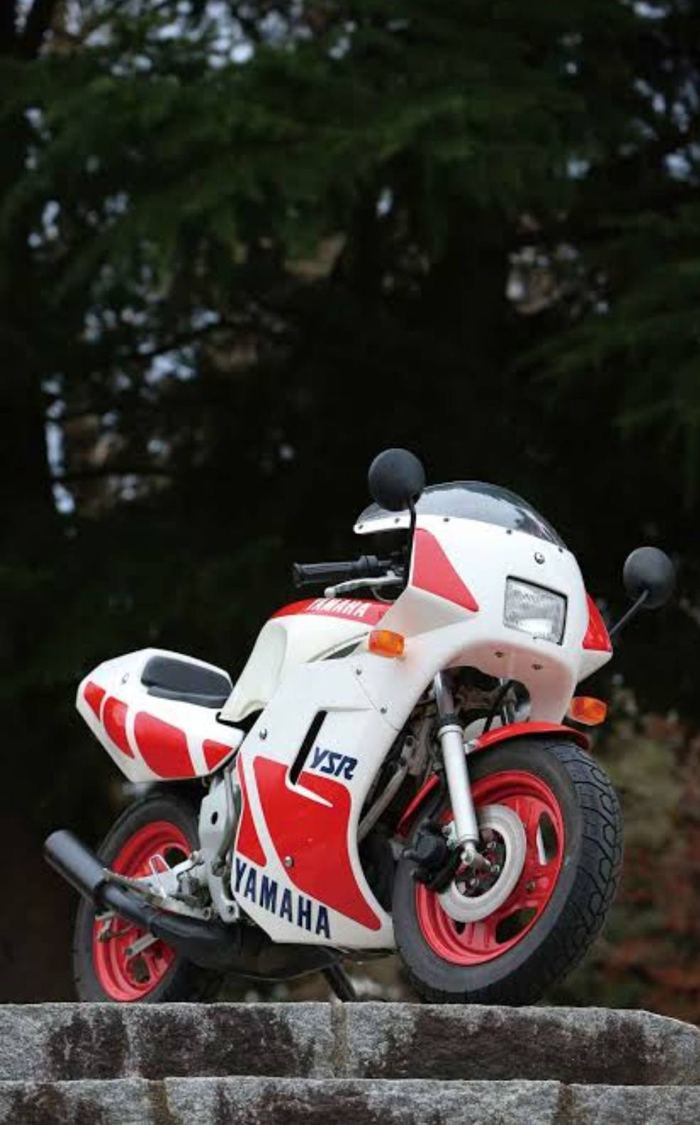 YAMAHA YSR50/80】(86年-92年 製造) 1986年(昭和61年)12インチの小径