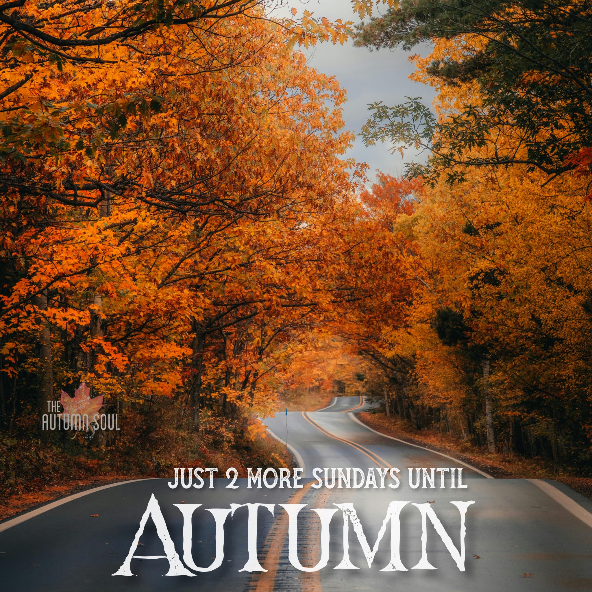The Autumn - Beyond today.. enjoy the days/weeks in between in the ...