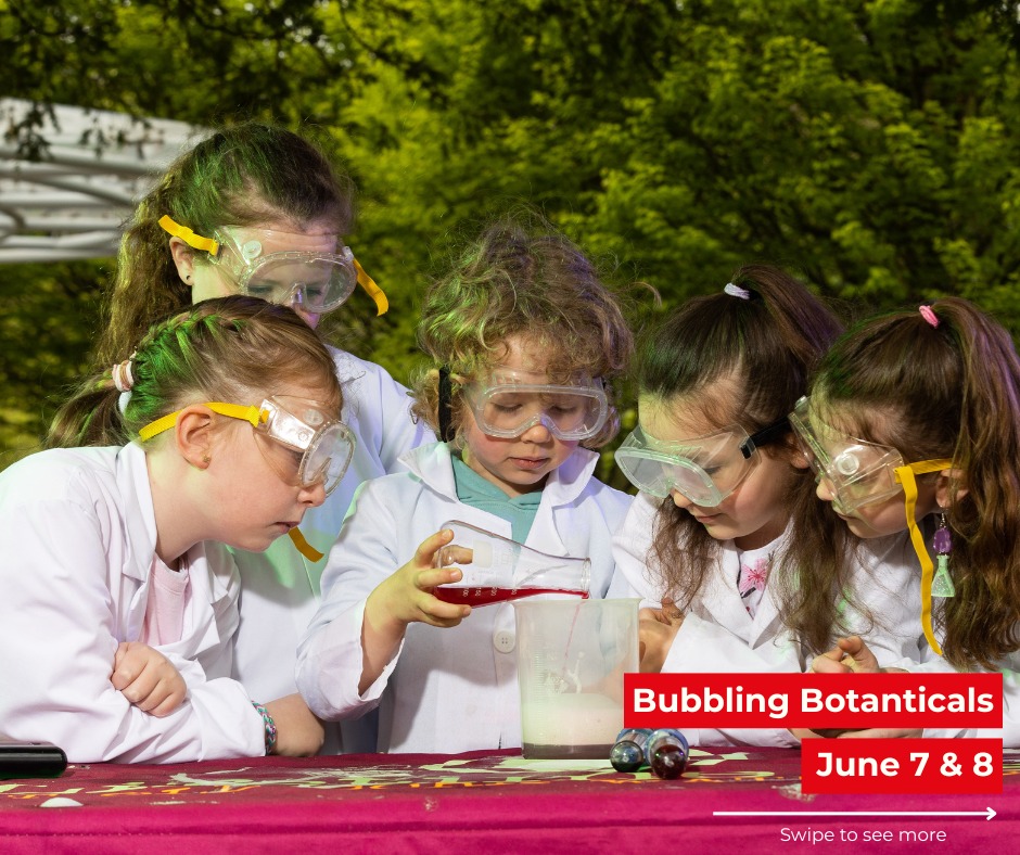 Cork - ⚛️ Ireland’s BIGGEST outdoor STEM festival, Cork Carnival of ...