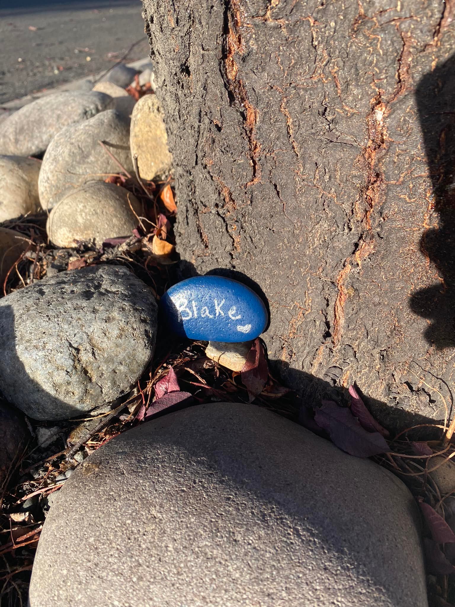 Rocks For Blake