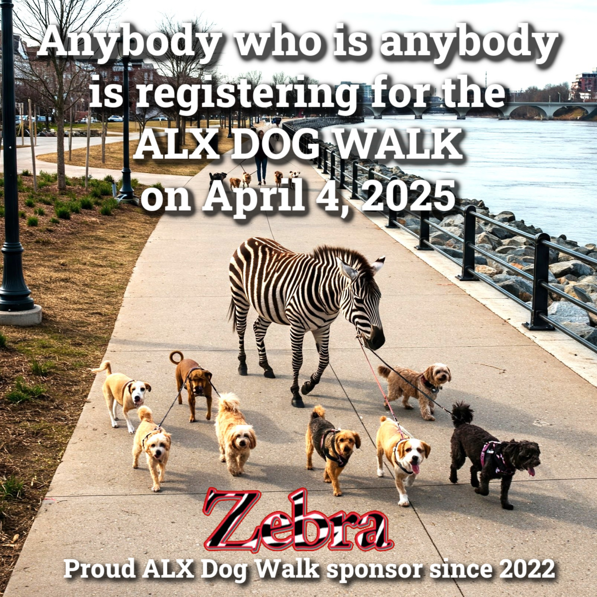 The Zebra - 🐶🐶 REGISTER NOW for the Fourth Annual ALX Dog Walk April 5 ...