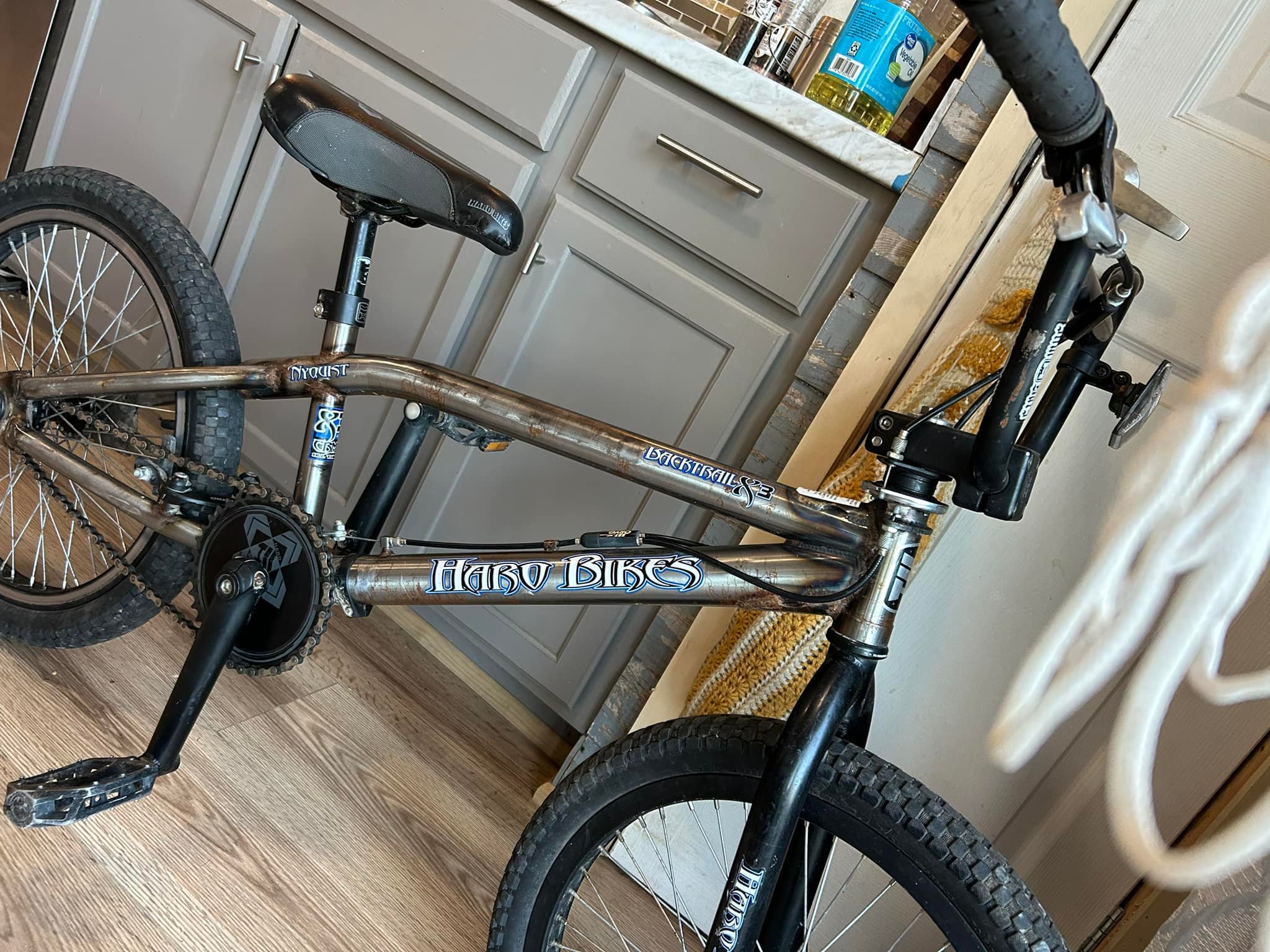 Vintage BMX Bike: 2003 Haro Back Trail X3