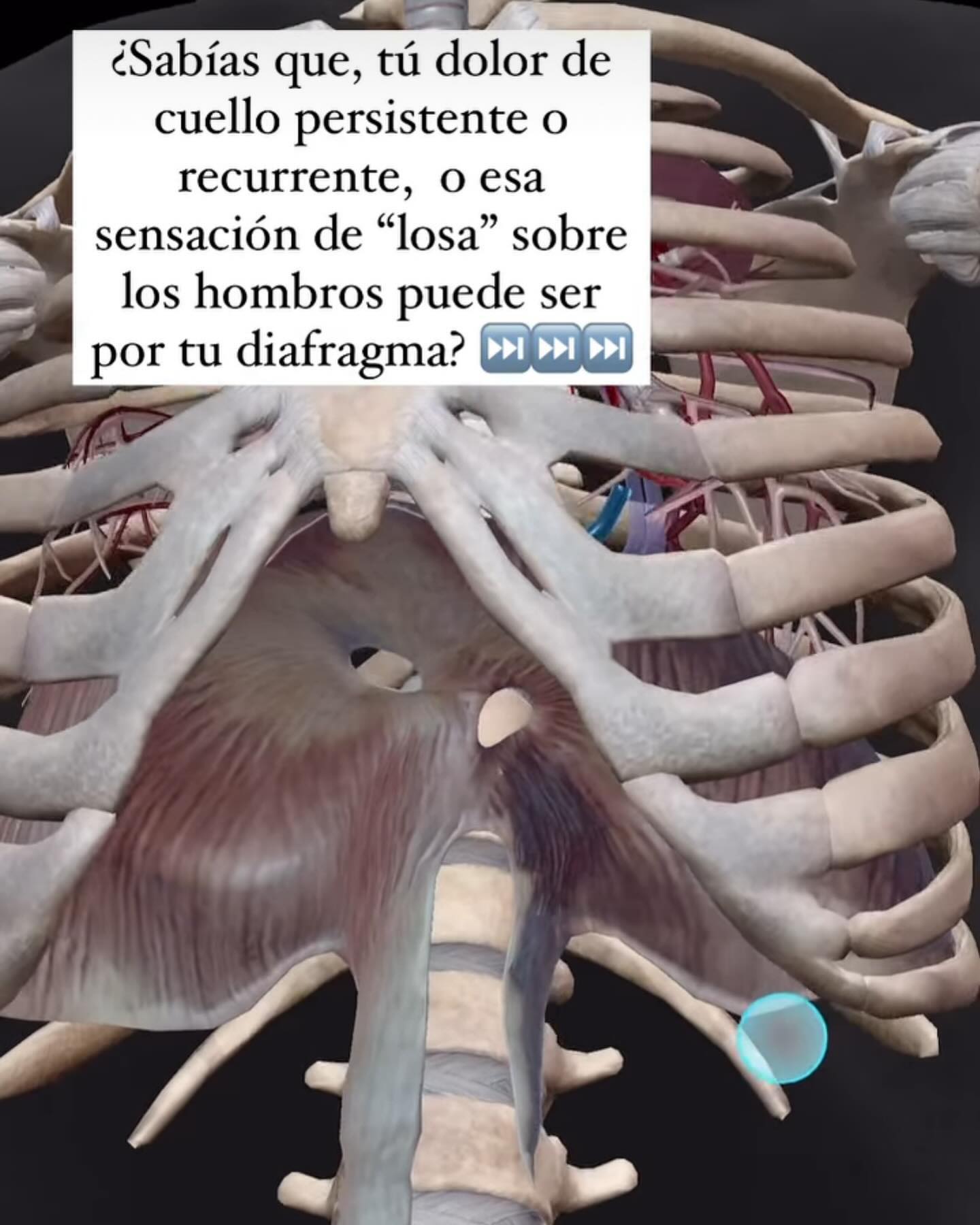 Nazconaturaltherapies.clinica - ¿ Sabías que tu DOLOR CERVICAL ...