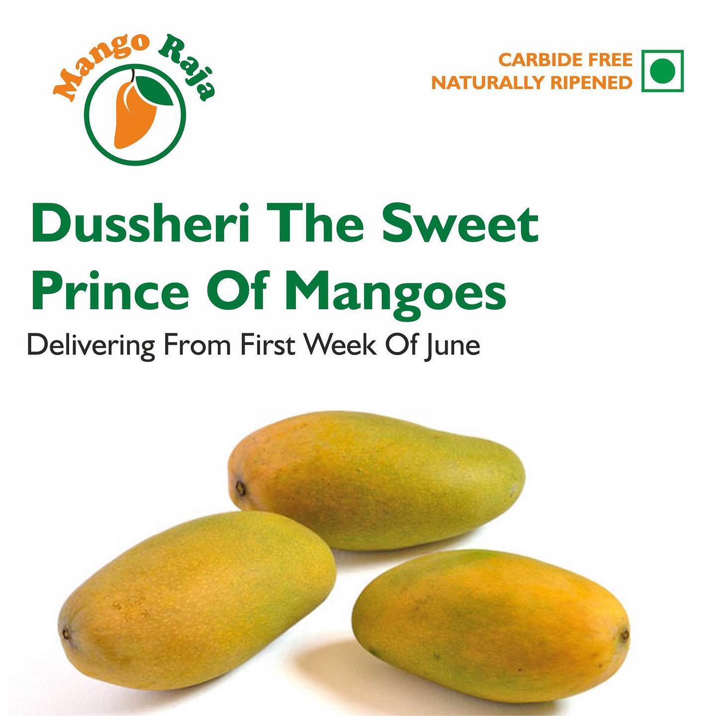 Mango Raja | Bangalore