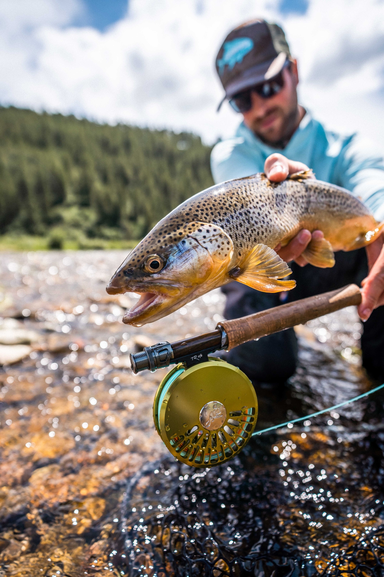 Abel - The Abel TR is a tried and true dry fly machine. Model- Abel TR ...