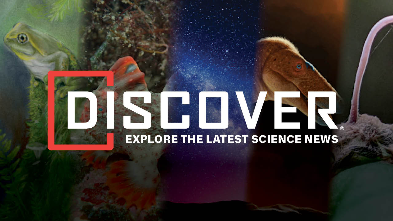 Image showcasing Discover - Get Your Weekly Dose of Fun, Quirky, and Fascinating Science ...