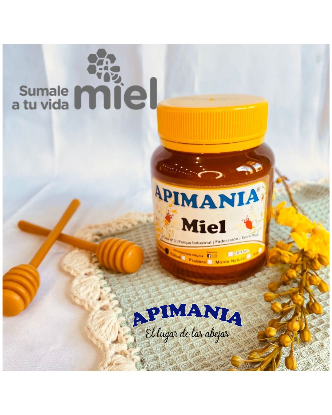 Apimania Abejas Y Miel