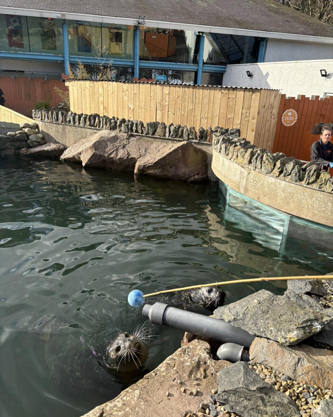 Exploris Aquarium | Newtownards