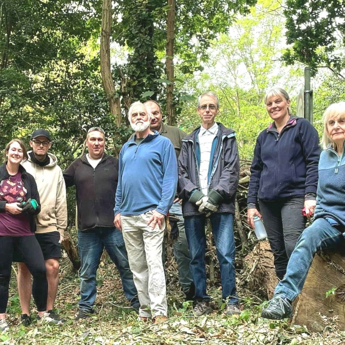 Friends of Knolls Wood