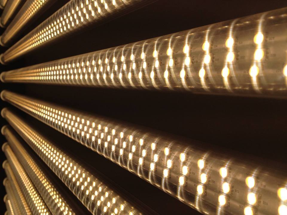 Círculo Blanco - Paneles MACHTECH LED en 3200° y 5600° en... | Facebook