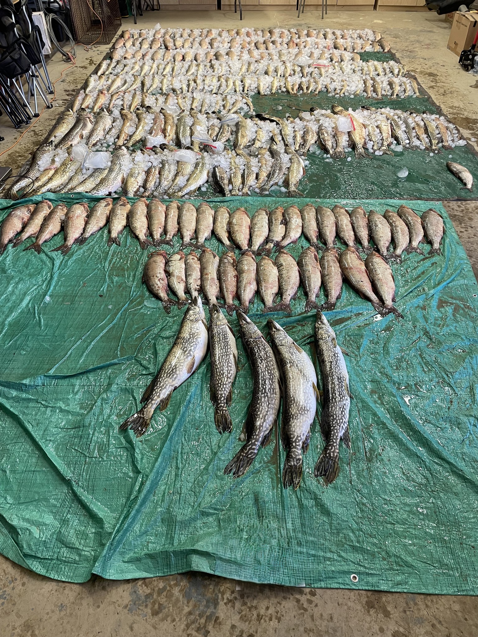 Lloyd... - Lloydminster and District Fish and Game Association