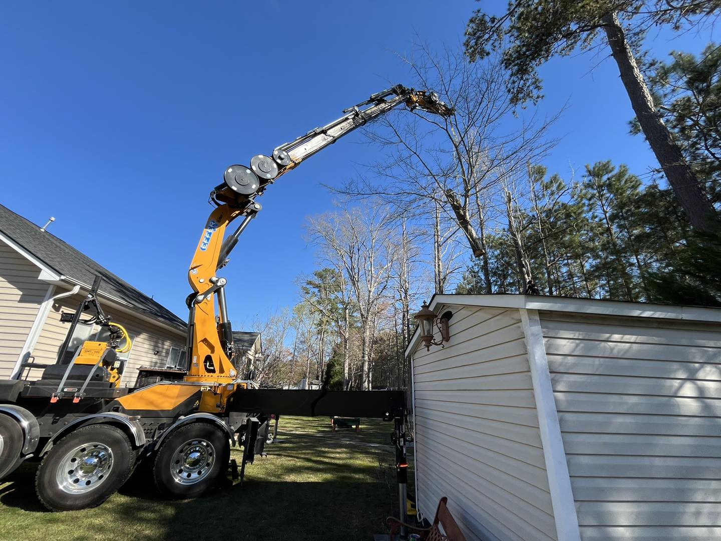 Ultimate Tree Service | Greenville NC