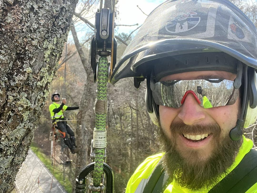 Ultimate Tree Service added a new... - Ultimate Tree Service