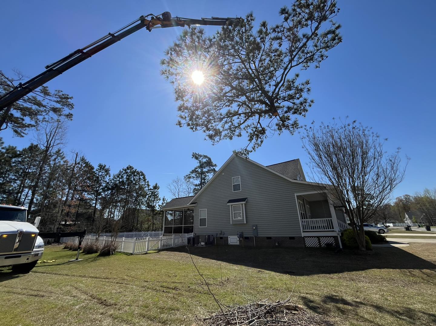 Ultimate Tree Service | Greenville NC