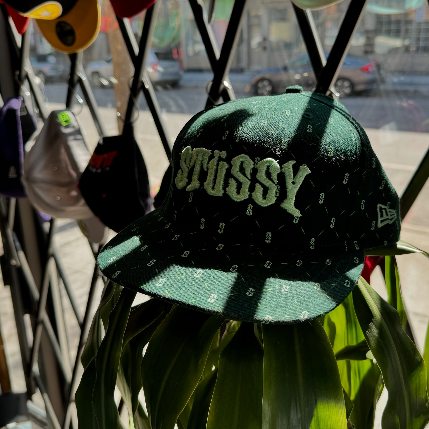 STUSSY caps #capseason #stüssy #2000 #thrift #thriftstorefinds #mtl