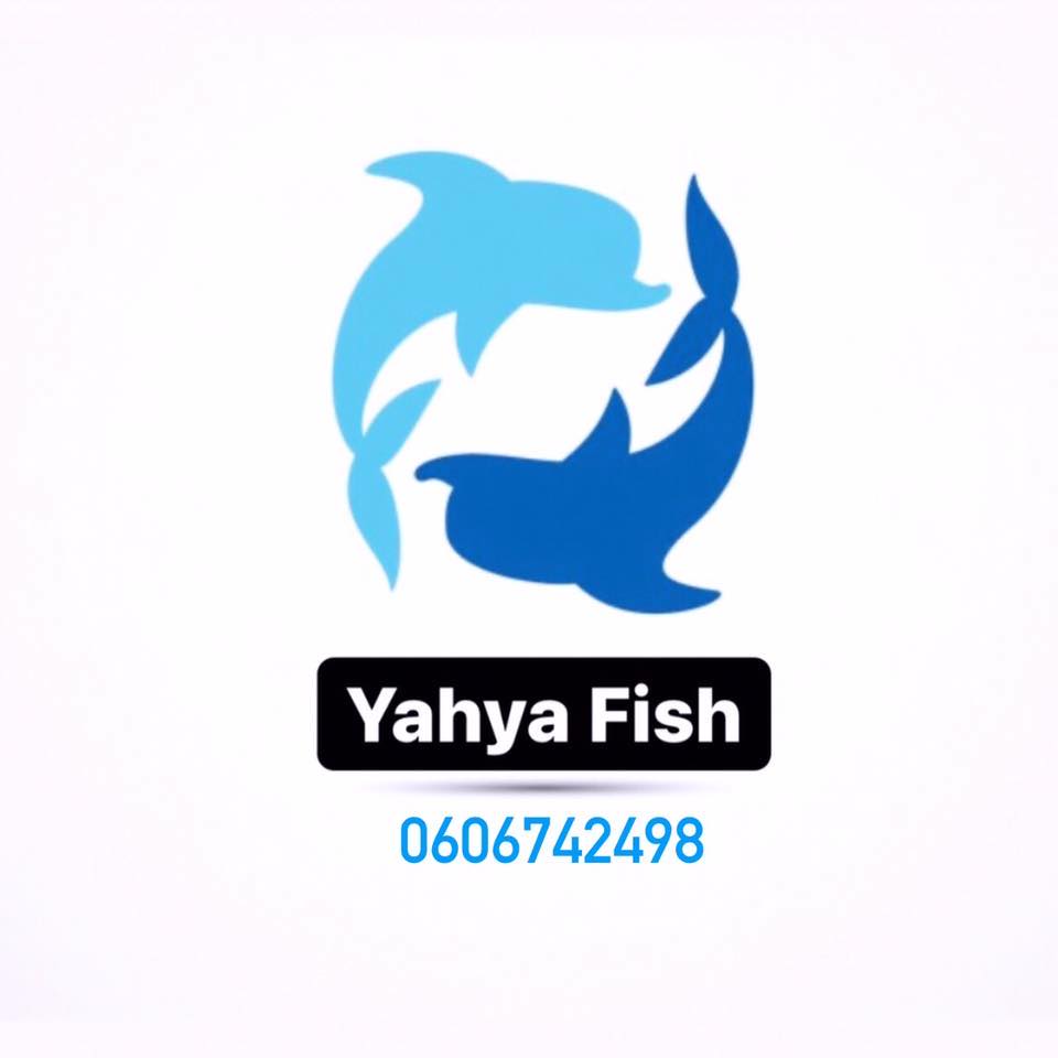 Betta Lover Halfmoon batta fry Location : Dhaka If anyone need inbox me ...