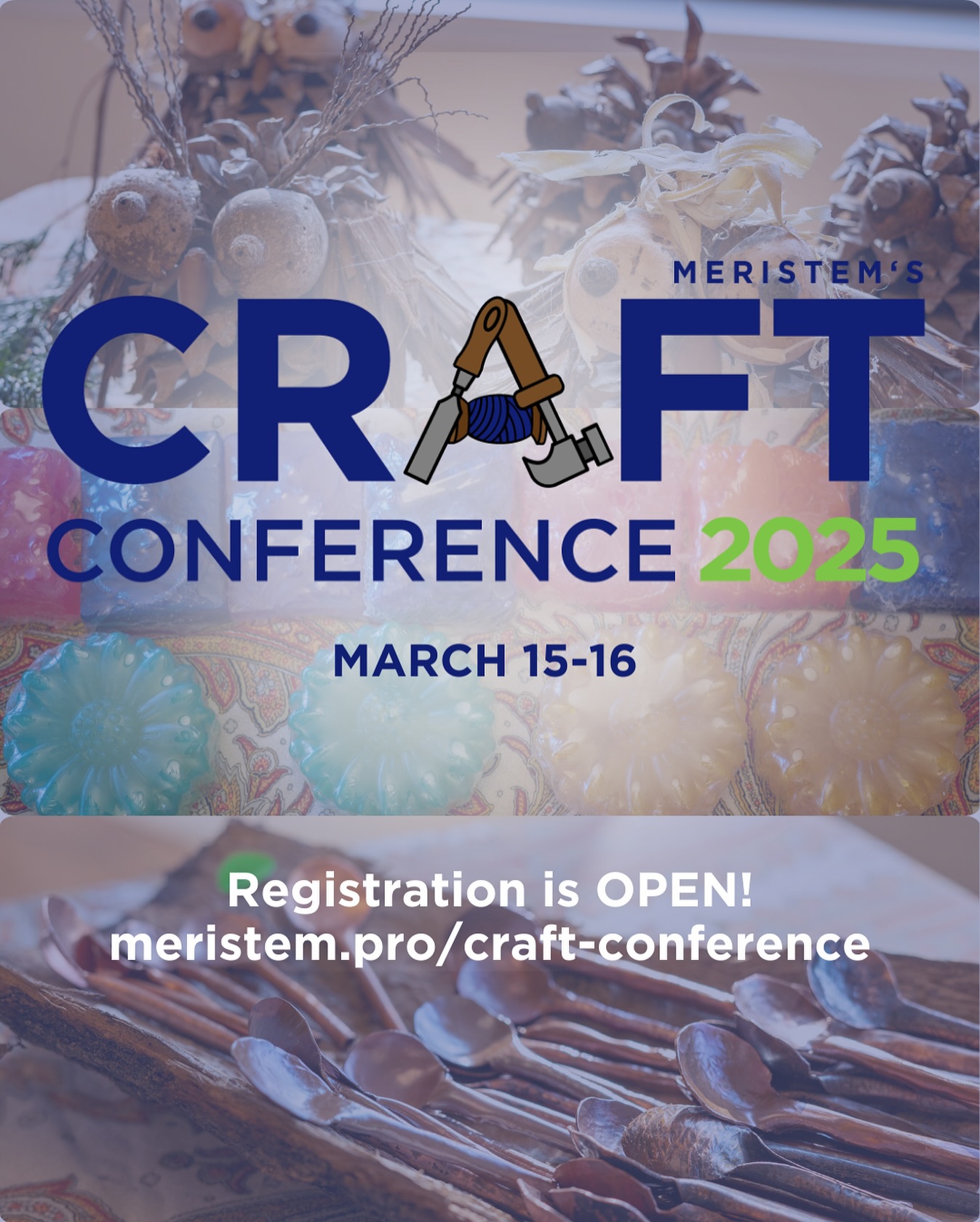 Meristem - Ever wanted to be a part of Meristem’s craft program for a ...
