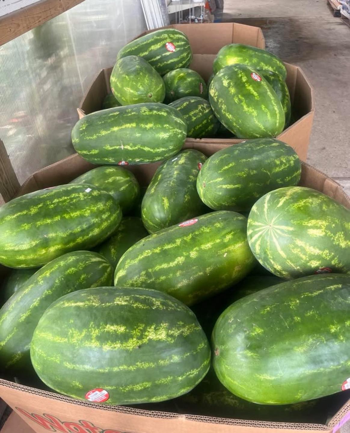 Newswanger's - Watermelon notice! We’re gonna hold off on getting more ...