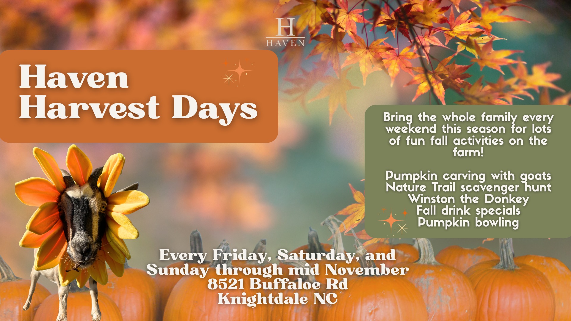 Haven Harvest Days: Fall Family Fun on the Farm!