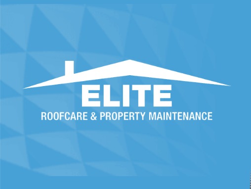 Elite Roof Care & Property Maintenance | Reigate