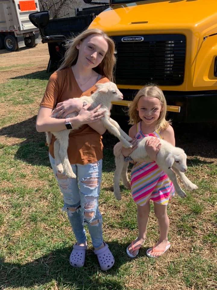 Snyder’s Sheep and Goat Farm | Everett PA