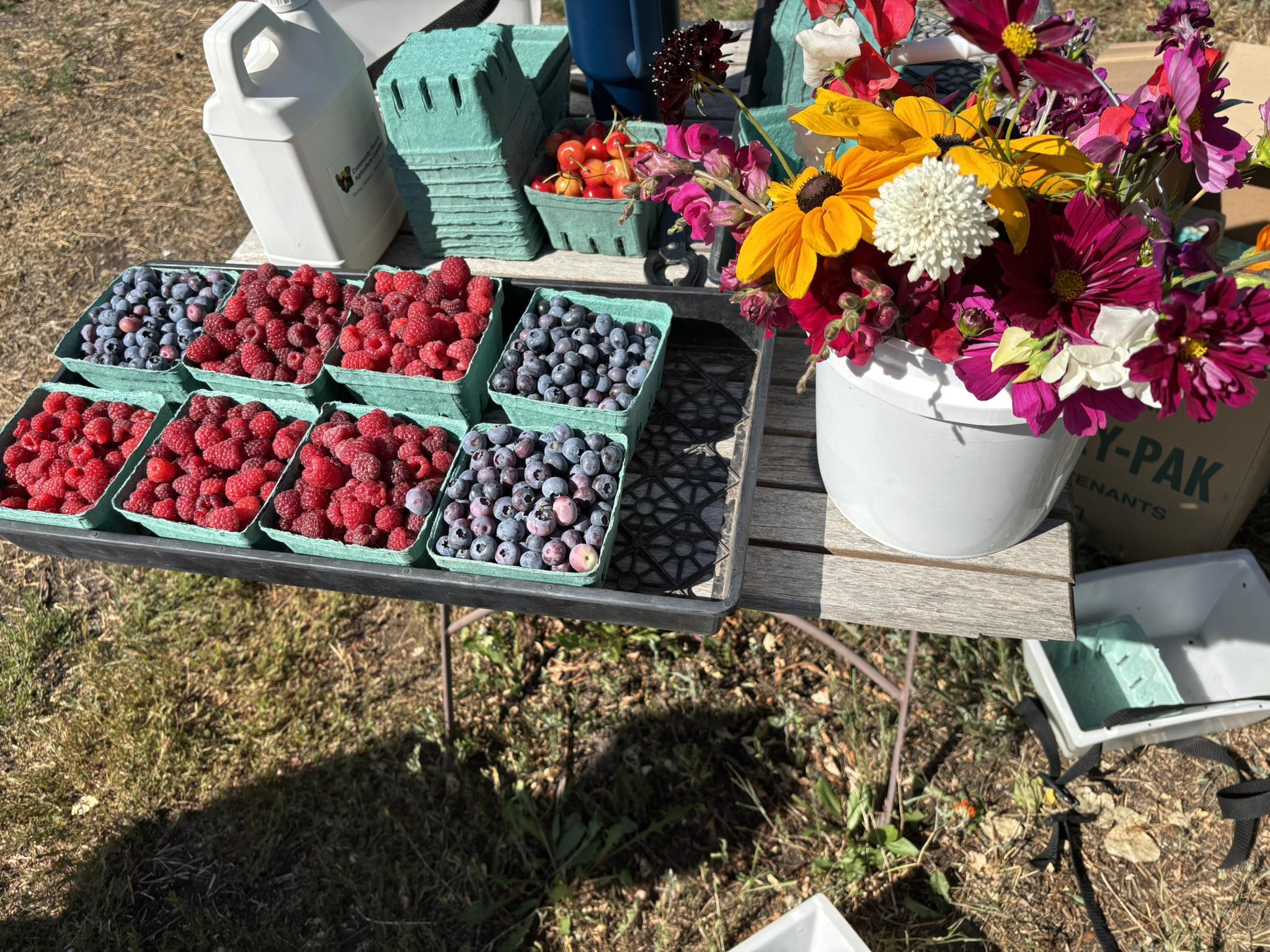 Red Hen Farm | Missoula MT