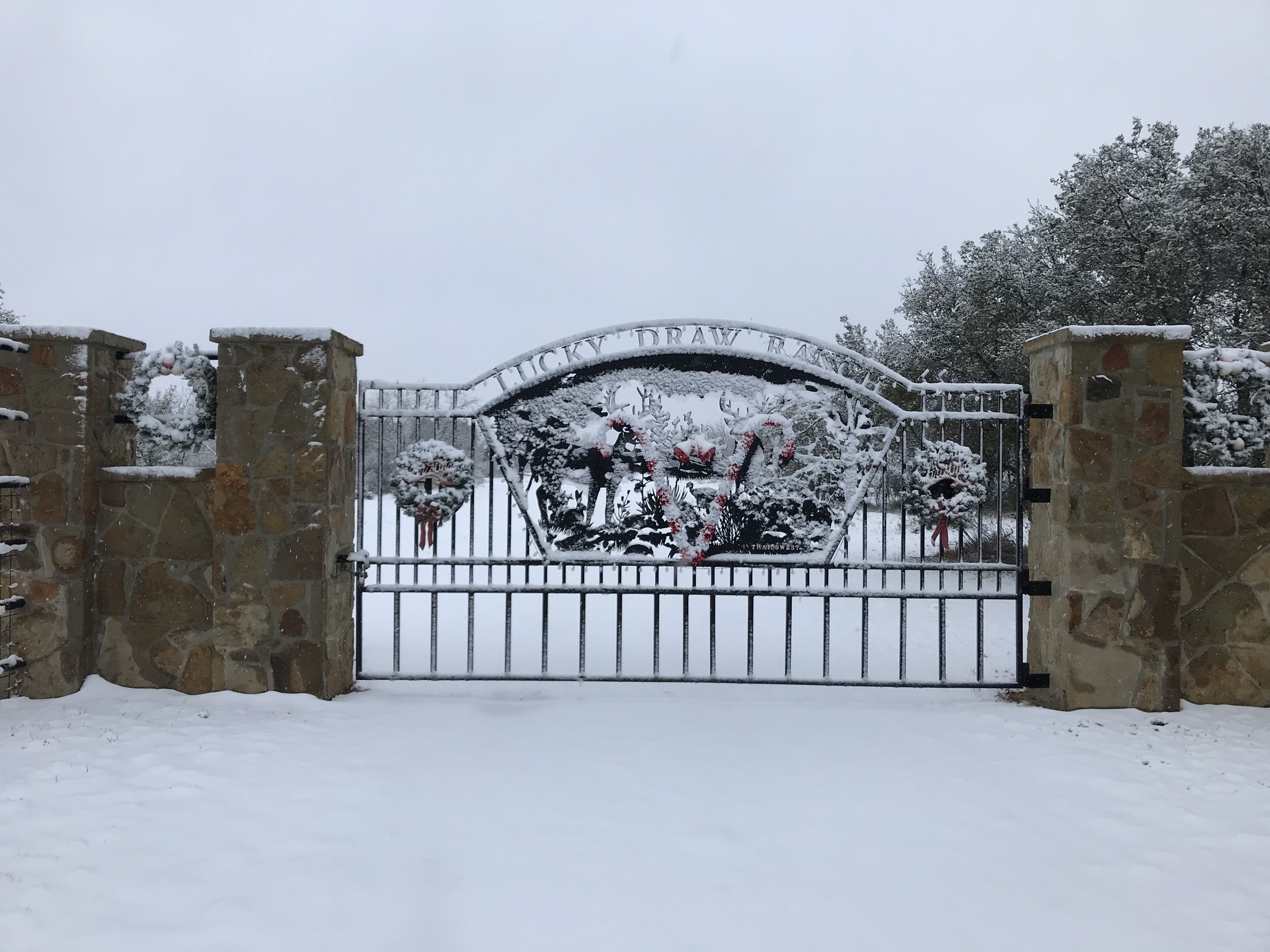 Lucky Draw Ranch | Menard TX
