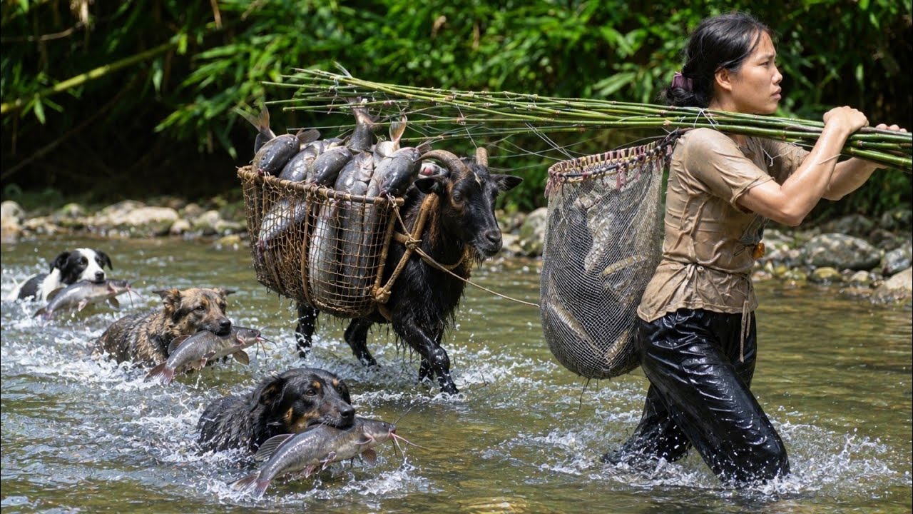 How to build a fish trap and overnight—catching giant river fish with ...