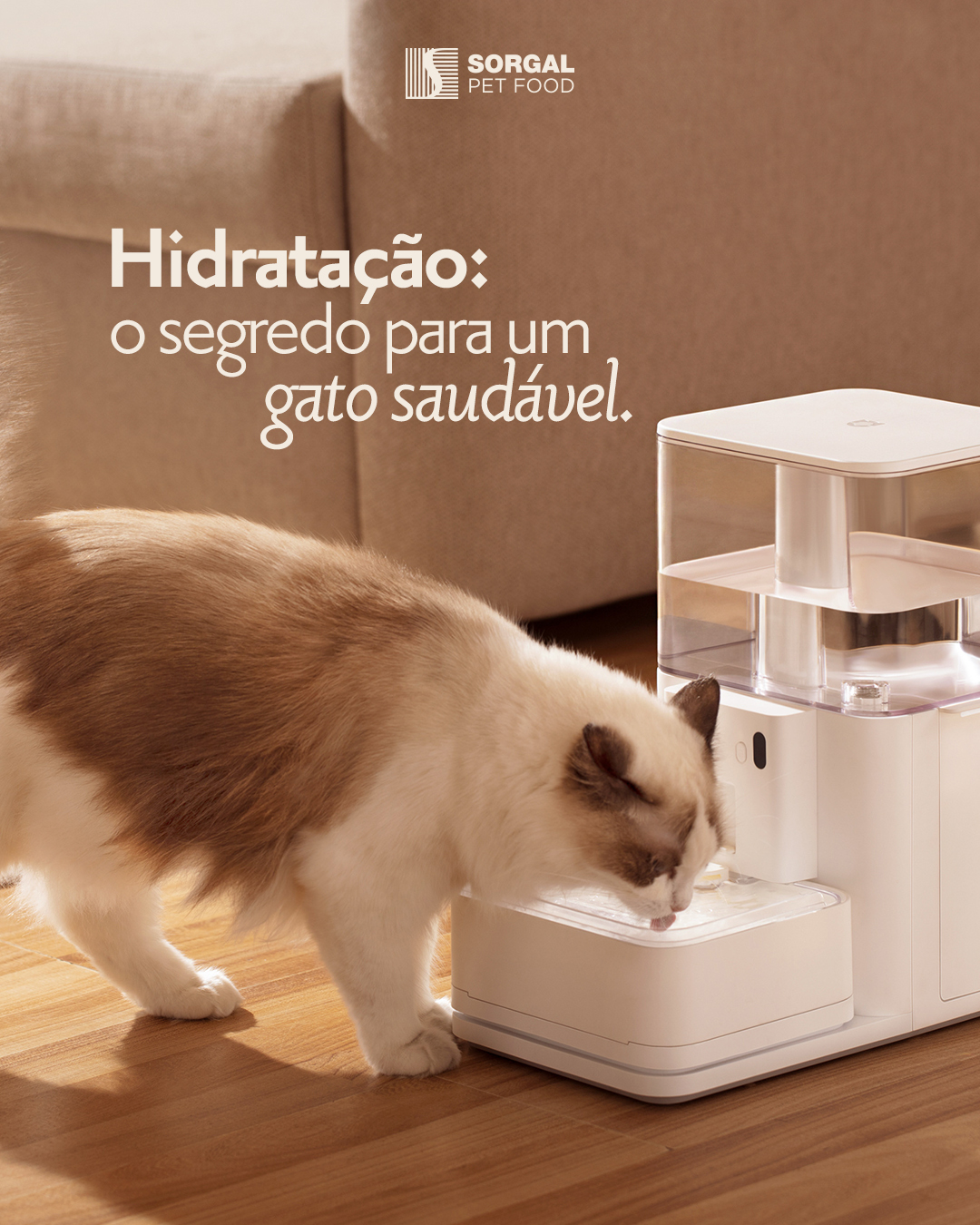 Sorgal Pet Food