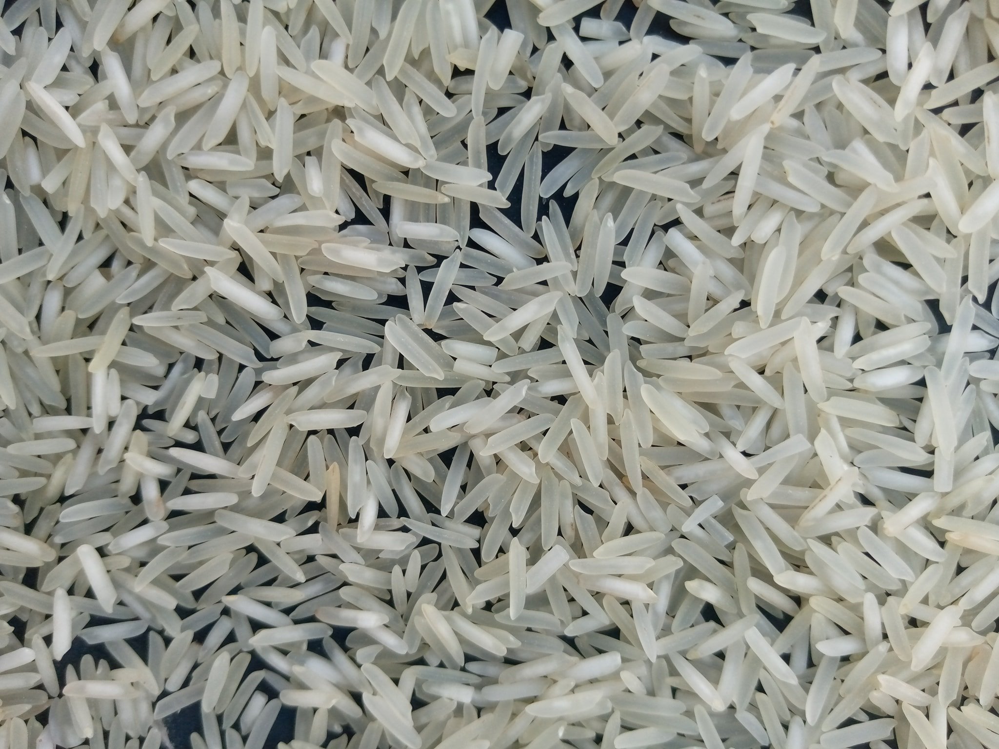 Azaan Rice Traders