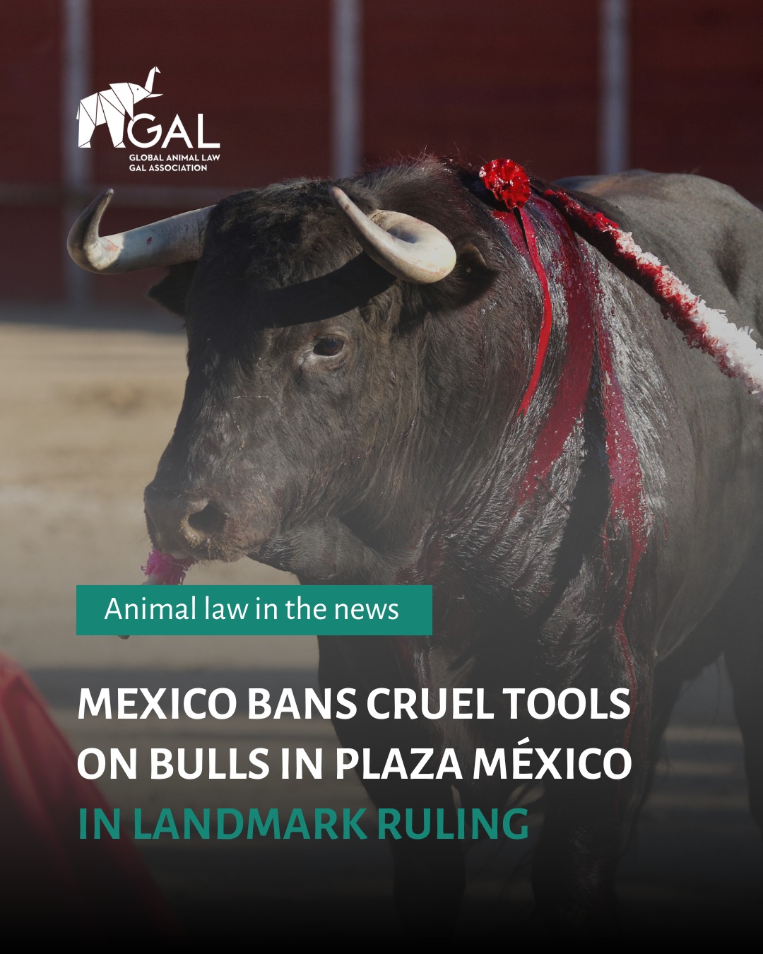 Global Animal Law - GAL - In a groundbreaking legal triumph, Mexico has ...