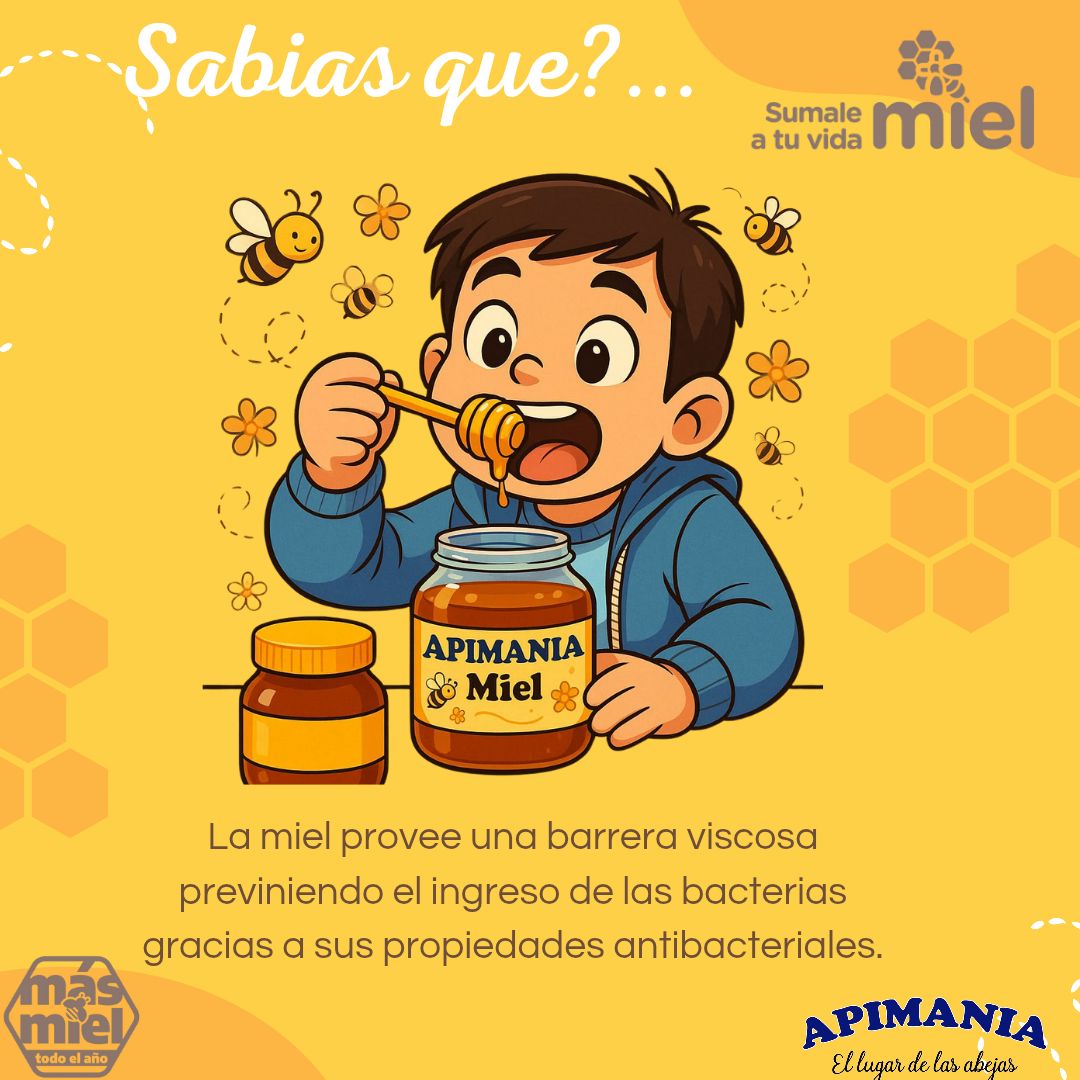 Apimania Abejas Y Miel