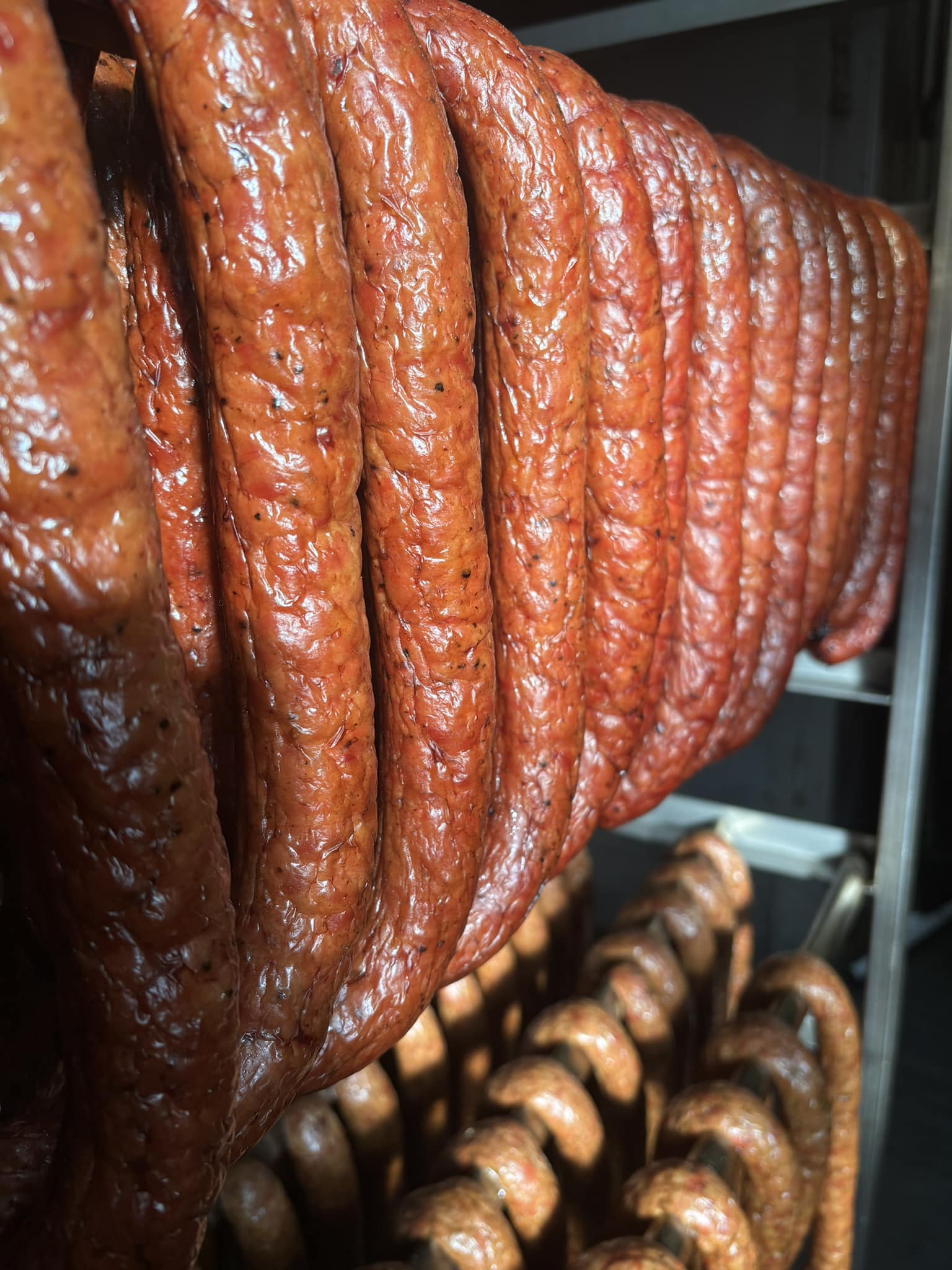Fish Time | Park Ridge IL