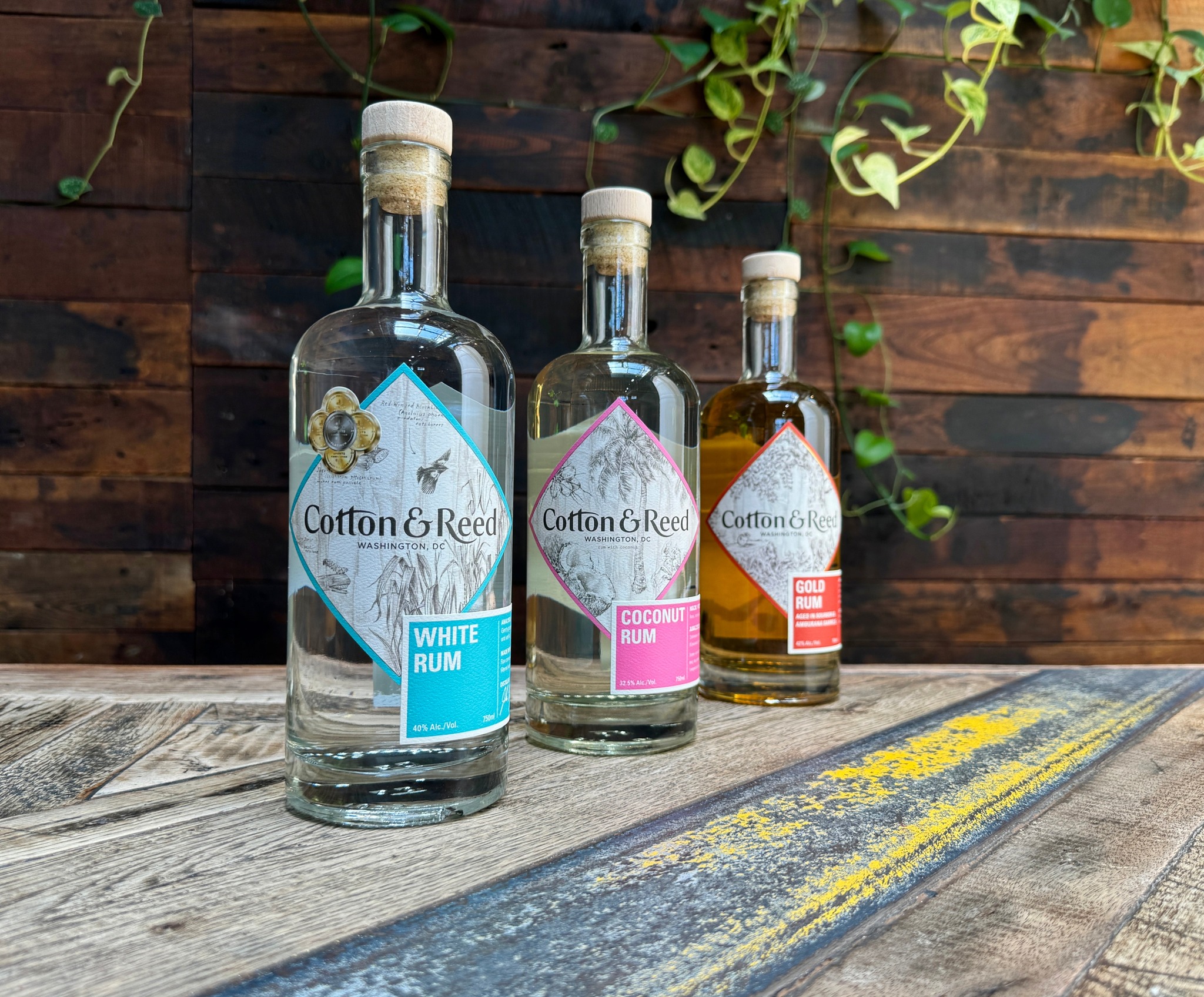 Cotton & Reed Distillery | Washington D.C. DC