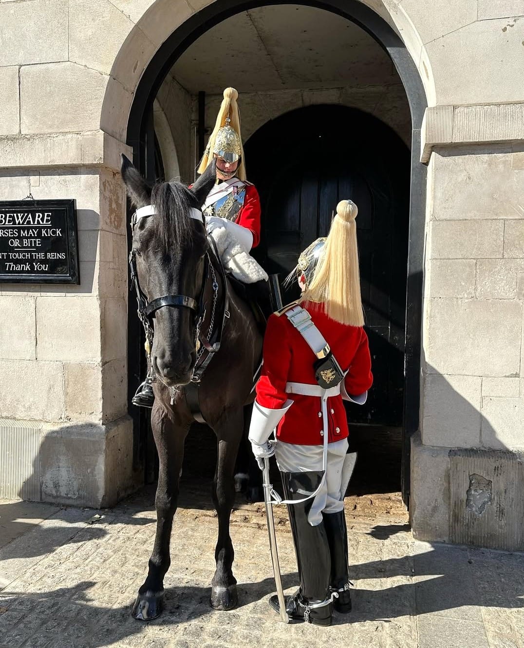 The Magnificent Of The King's... - The Royal Guards England