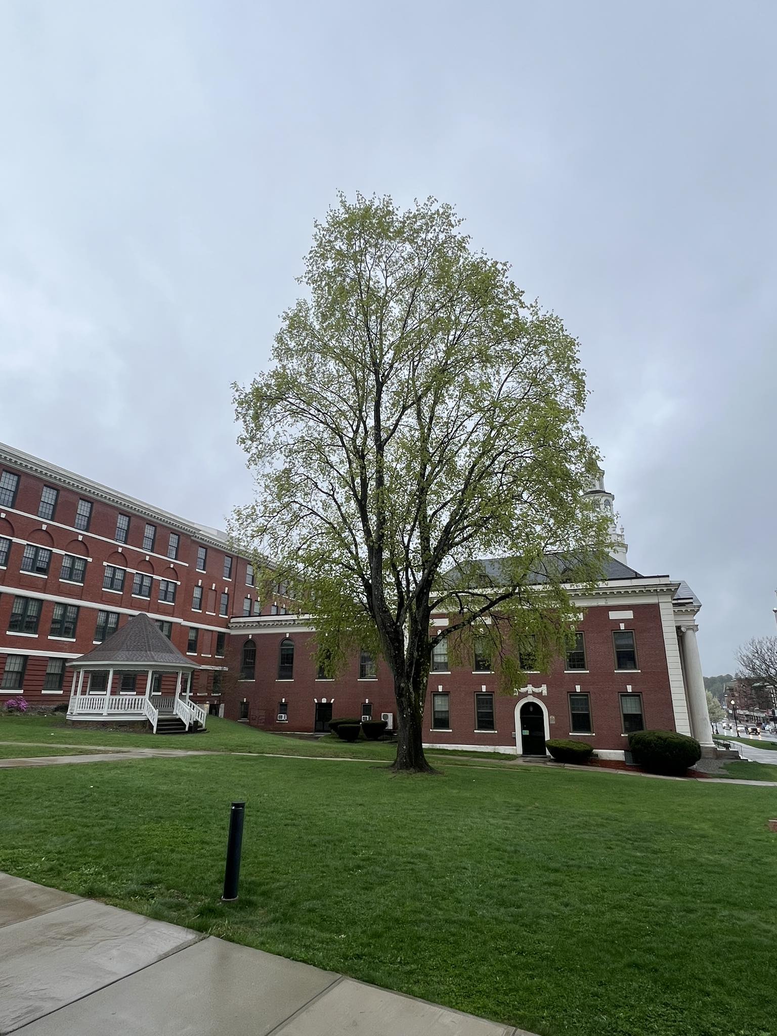 Gladys E. Kelly Public Library | Webster MA