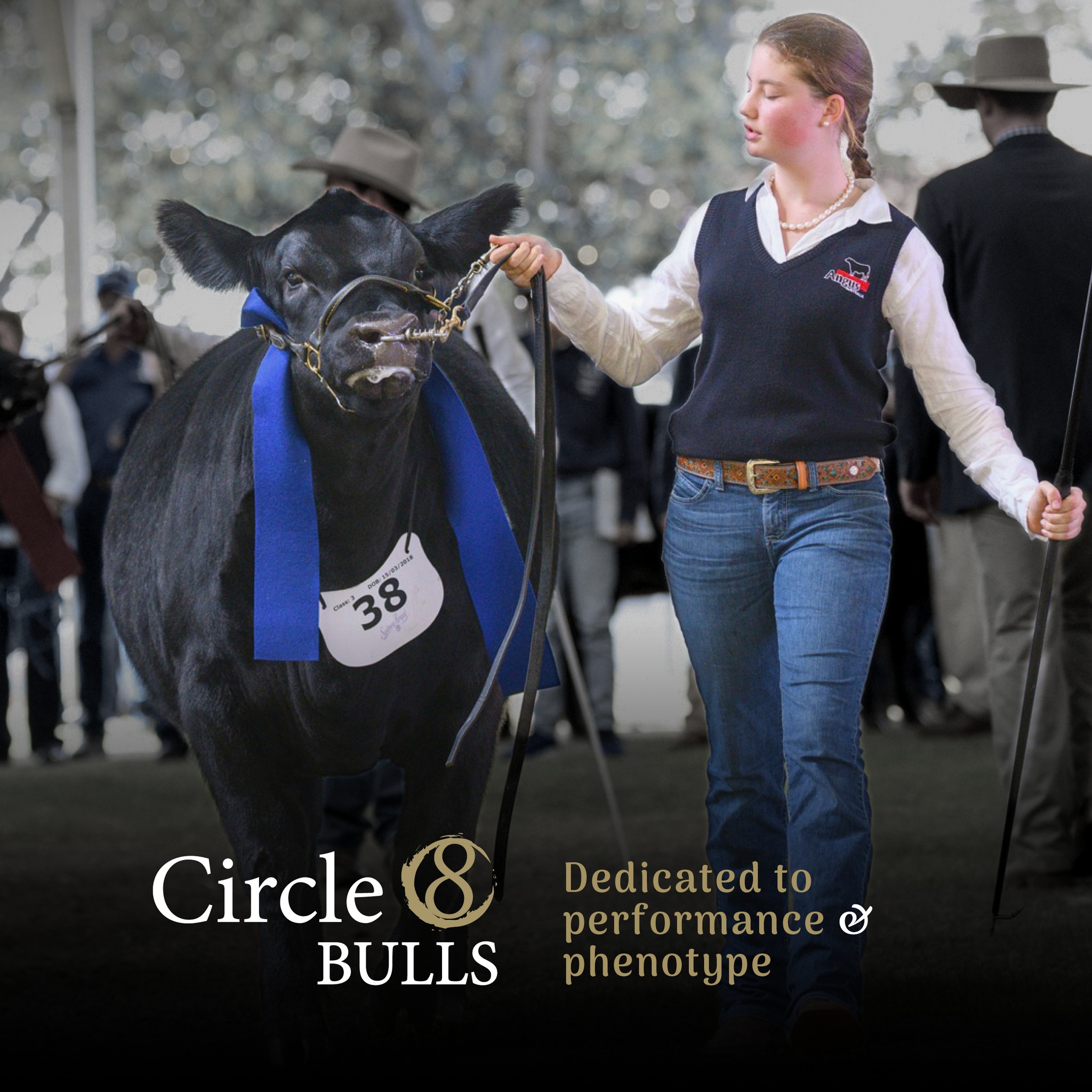 Circle 8 Bulls - 🐂🔥 Angus excellence on display! 🔥🐂 At... | Facebook