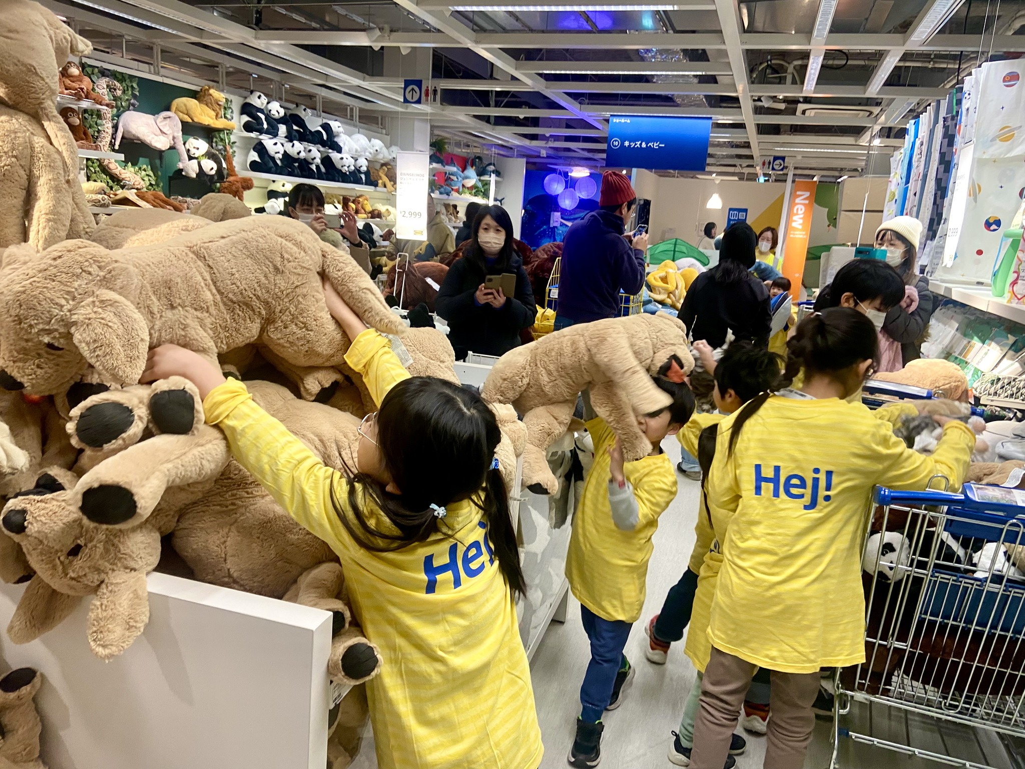 ゴールデンウィークはイケアに行こう！​✨✨ IKEA Familyメンバー限定