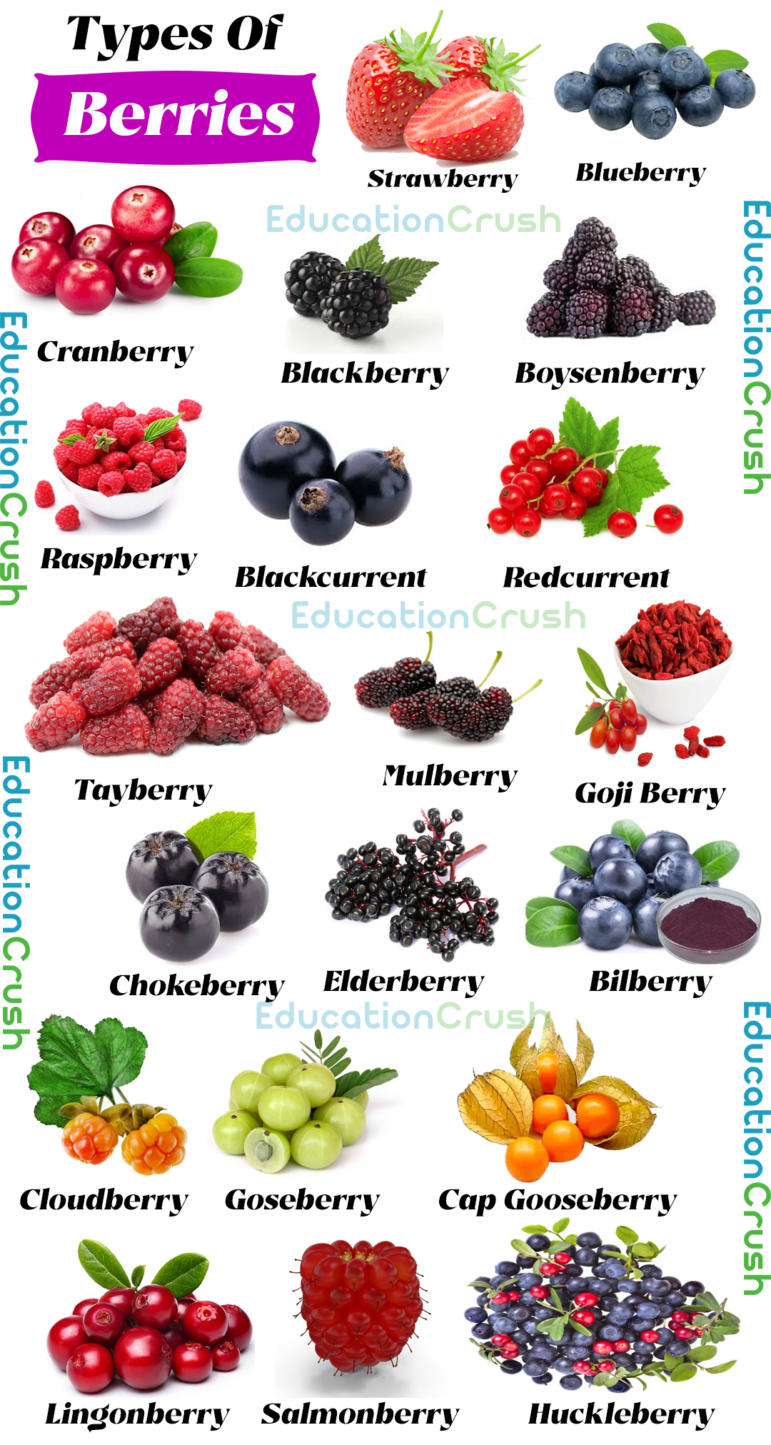 Education Crush - Types Of Berries Education Crush