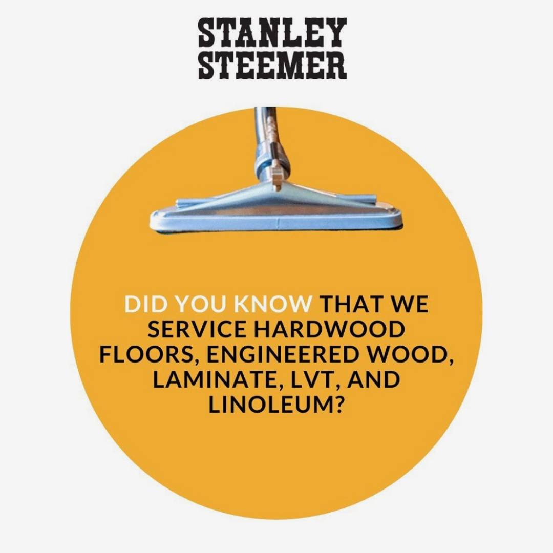 Hardwood Floor Cleaning | Stanley Steemer