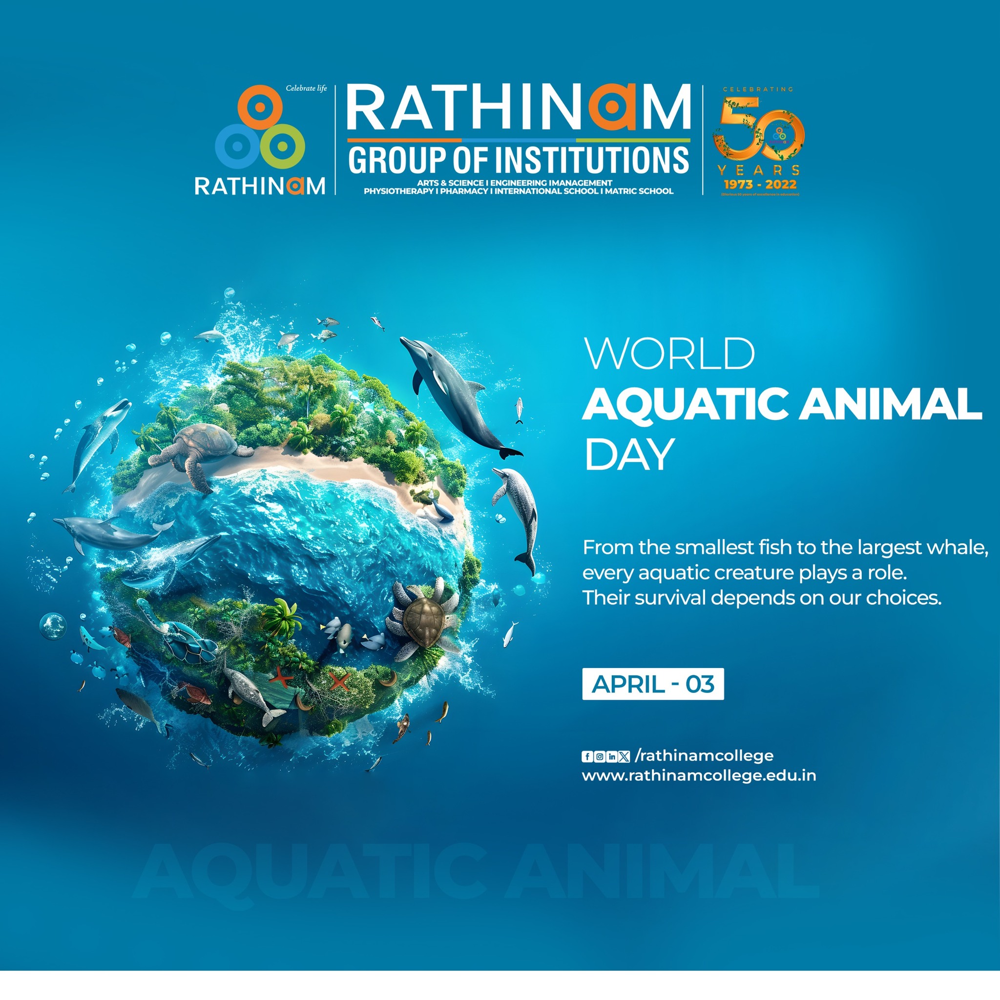 Rathinam - 🌊 Happy World Aquatic Animal Day! 🐠🐬🐢 From the tiniest fish ...