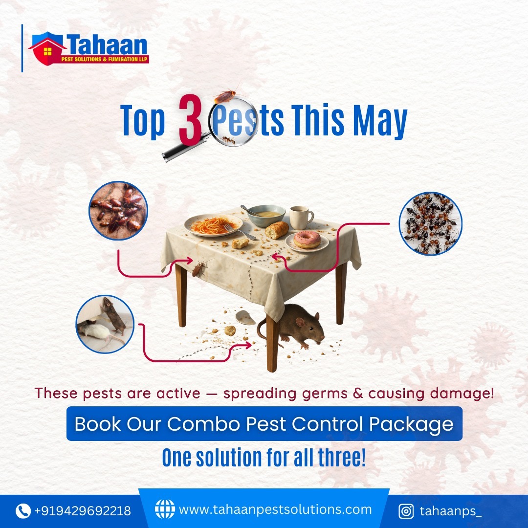 Tahaan - 🚨 Top 3 Pests This May: Cockroaches, Rodents & Ants! These ...