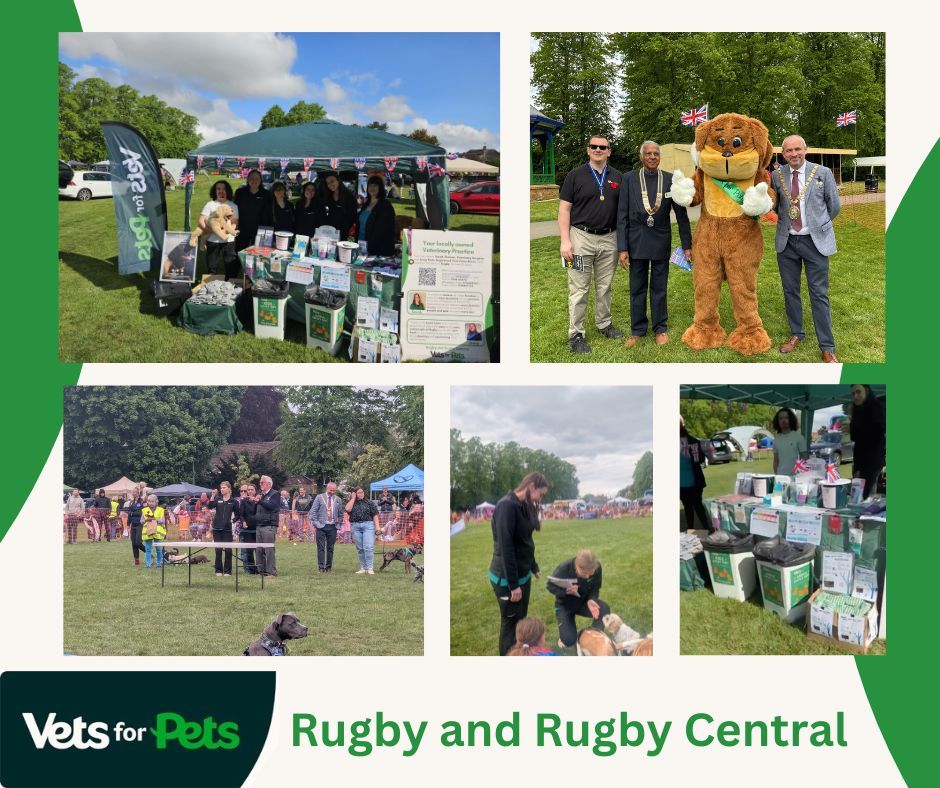Rugby Spring Fair | Rugby