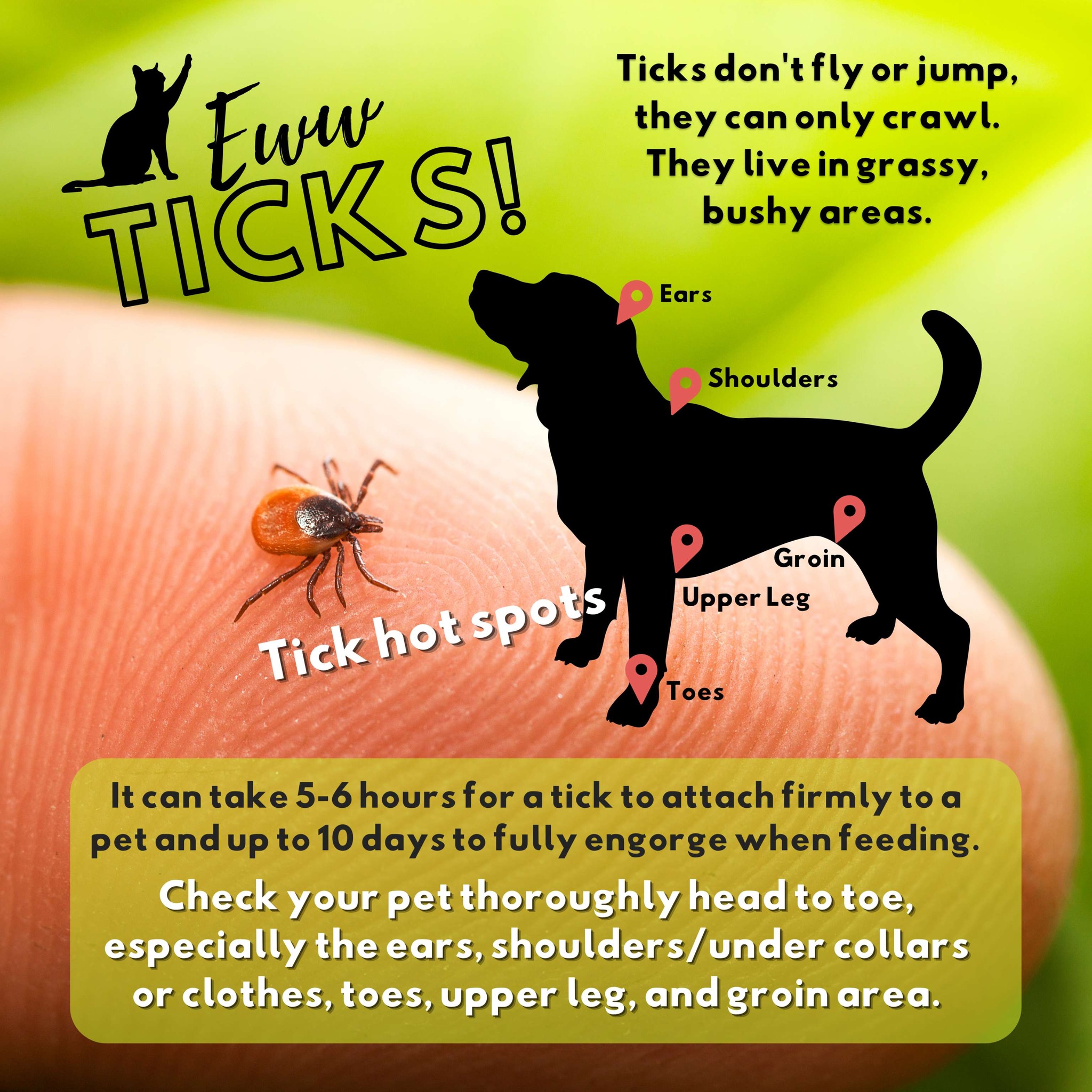 Skippack - 🐾 Ticks are an unwelcome guest for our furry friends! 🐶🐱 The ...