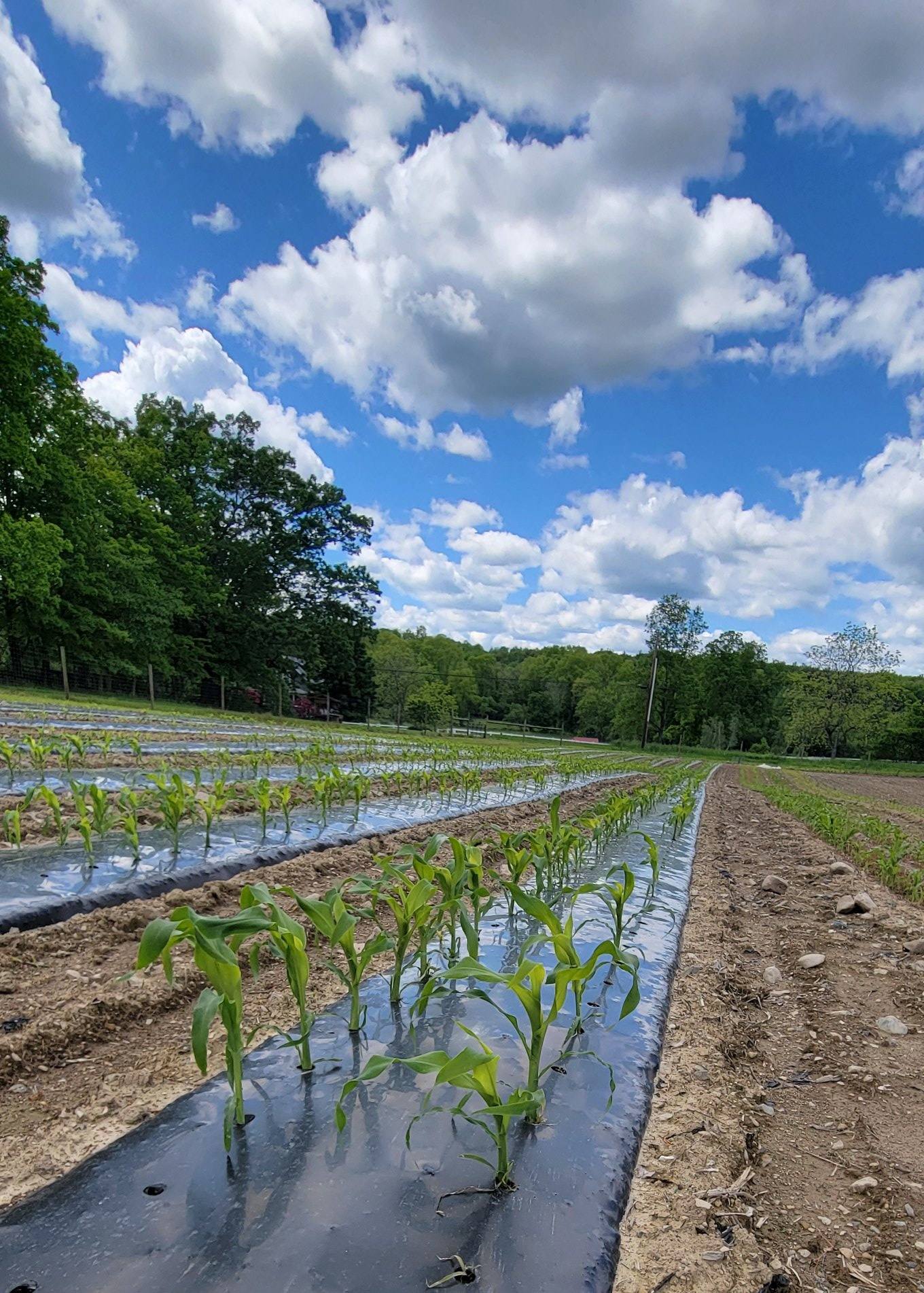Layton Hay and Produce Company | Layton NJ